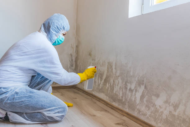 Licensed Commercial Mold Remediation service in Bedminster, NJ - WQB Mold Removal