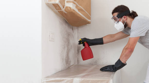 Professional Commercial Mold Remediation technician working in Bedminster, NJ