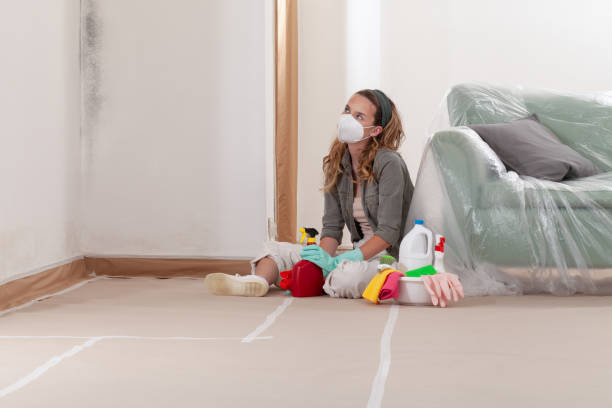 Reliable Commercial Mold Remediation contractor in Bedminster, NJ by WQB Mold Removal